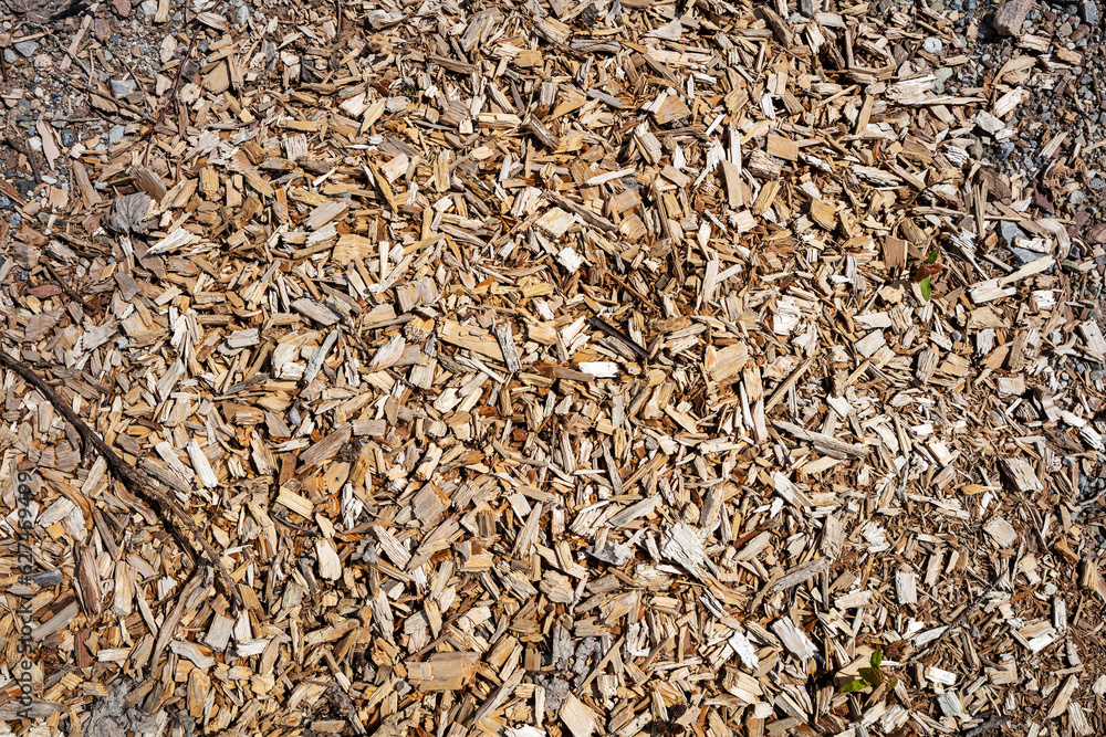 Wood abstract texture. Surface grunge backdrop. Dirty wooden effect pattern. Material background. Wood abstract texture. Surface grunge backdrop. Dirty wooden effect pattern. Material background.