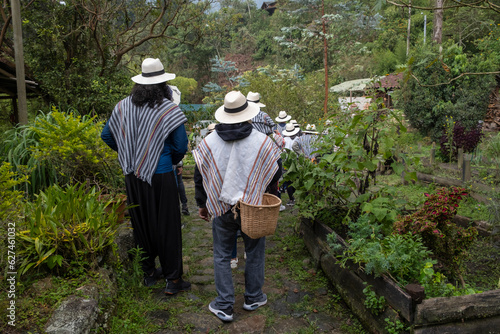 Group of tourists dressed in traditional Colombian white cotton poncho clothes and straw hats walking through farm on a coffee tour with baskets for harvesting ripen coffee berries in South America.  