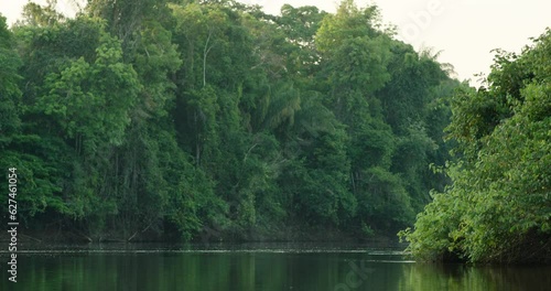 Sunset Serenity: Tranquil Moments on an Amazon River in the Heart of the Rainforest