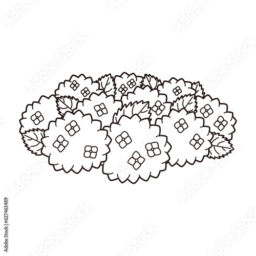 たくさんの紫陽花のイラスト ぬりえ