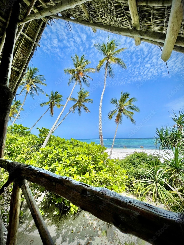 Zanzibar beach - obrazy, fototapety, plakaty 