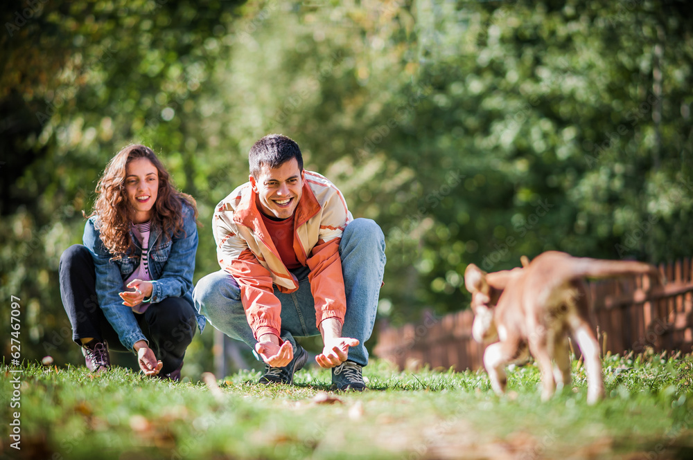 Young couple are enjoying with street dogs without owners and leash, on country road in nature Young couple are enjoying with street dogs without owners and leash, on country road in nature