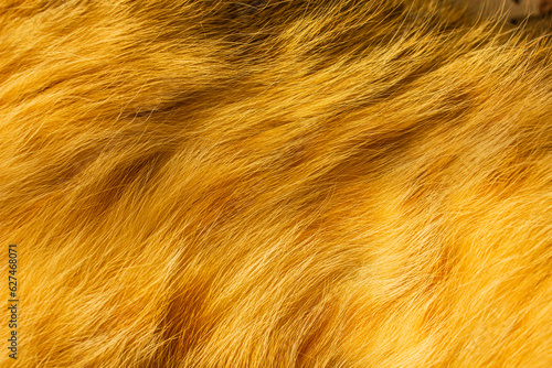 Yellow cat fur with dark spots textured for backgrounds. Shaggy fur texture cloth abstract, furry rusty texture plain surface, rough pelt background in horizontal orientation.