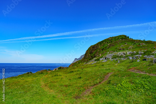 Amazing nature view with fjord and mountains. Beautiful summer Norway landscape. Artistic picture. Beauty world. The feeling of complete freedom