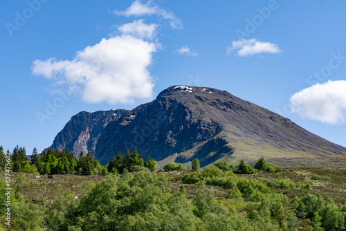 Ben Nevis Rocky Summit Seen from Scottish Forestland in Scotland United Kingdom