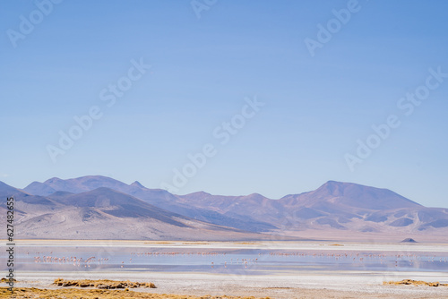 Fotografia Vista al salar del Huasco en la comuna de Pica, región de Tarapacá, Chile