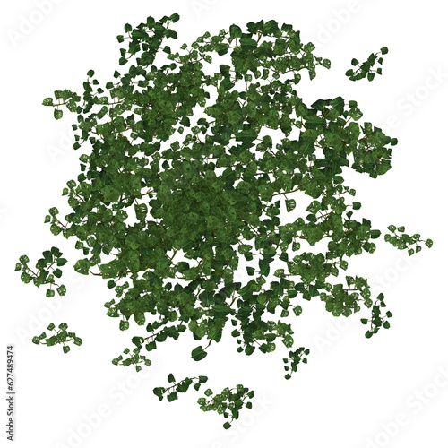 Aerial view of Tropical Rain Forest Ground Flora 3D Illustration, Image 17 of a series