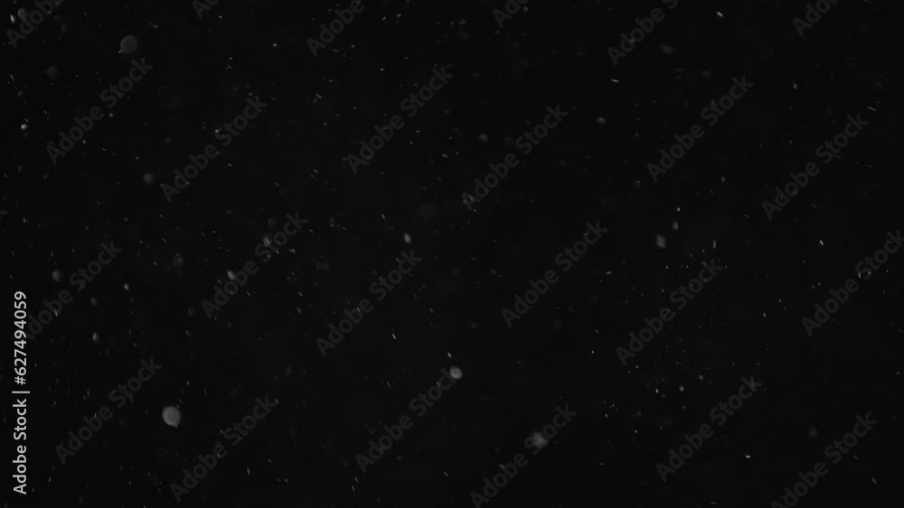 Floating Dust Particles In The Air Against A Dark Background. Tiny Specks Of Light Reflect Off The Fine Particles, Creating A Mysterious And Atmospheric Scene. Floating Dust Particles In The Air Against A Dark Background. Tiny Specks Of Light Reflect Off The Fine Particles, Creating A Mysterious And Atmospheric Scene.