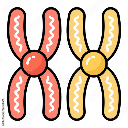 Chromosome Line Color Icon