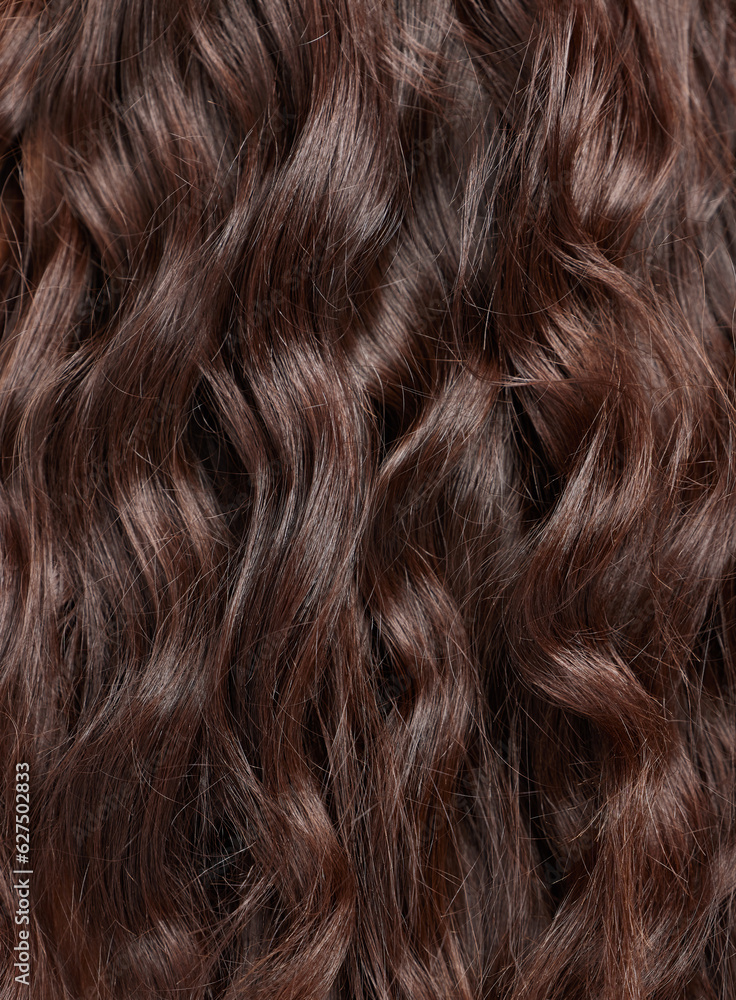 Naklejka premium Hair, beauty with balayage and curly hairstyle with haircare, keratin treatment and back view closeup. Person with salon style, color highlights shine and texture, growth and grooming with glamour