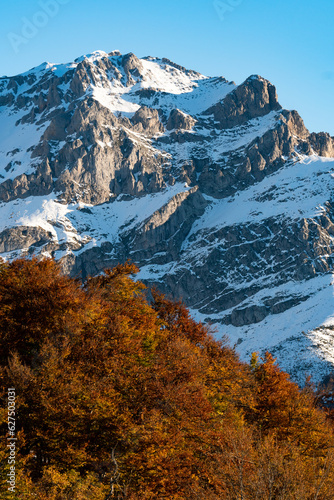 Beech forest in autumn in the Picos de Europa (European peaks) National Park at sunset since Piedrashitas viewpoint with the mountains in the background. Valdeon valley, Leon province, Spain. photo