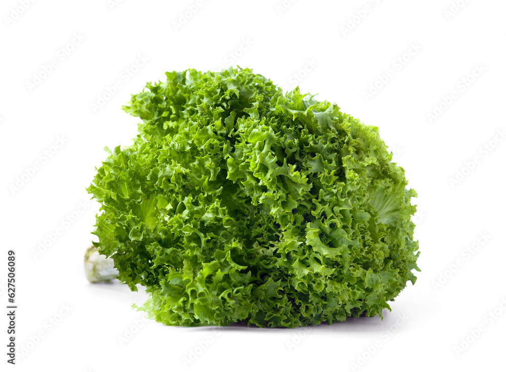 Lettuce, big bunch of lettuce leaves isolated on white background. Lettuce, big bunch of lettuce leaves isolated on white background.