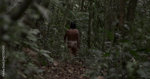 Harmony with Nature: Indigenous Peoples Walking in the Heart of the Amazon Rainforest photo
