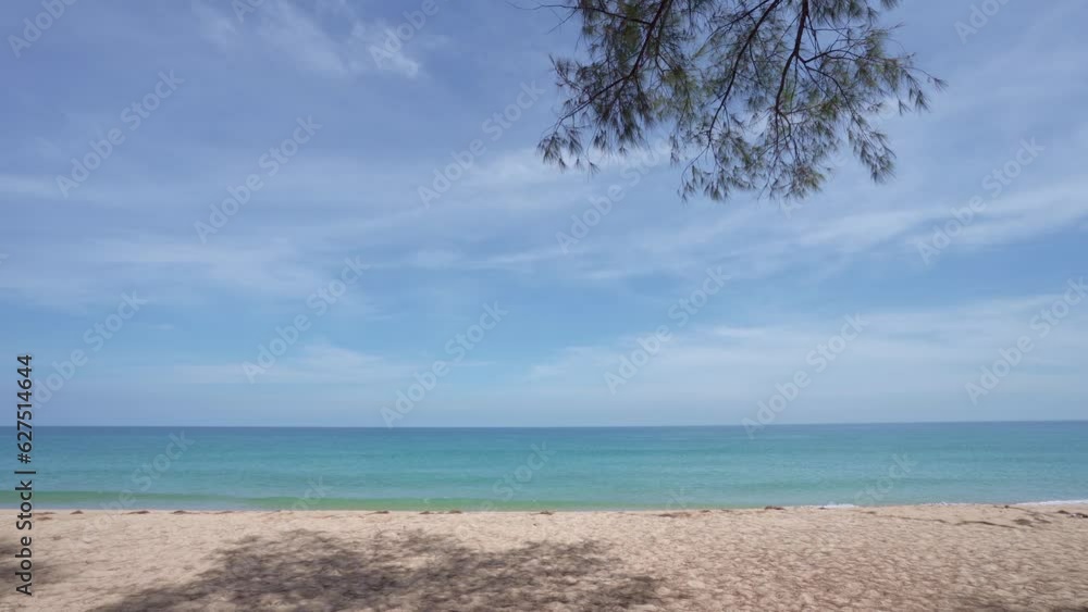 Coconut palm trees on the beach beautiful sunny day,Good weather day summer holiday background Coconut palm trees on the beach beautiful sunny day,Good weather day summer holiday background