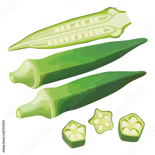 Okra Okura Okro Ladyfinger Hand Drawn Vector Illustration Set Isolated