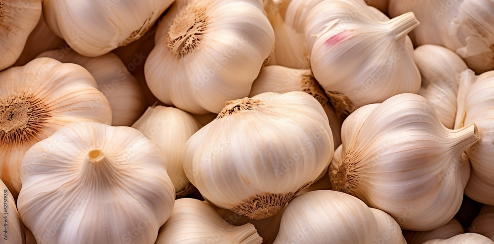 Fresh Garlic Illustration. High Quality Resolution, Garlic Cloves, Fresh Groceries Fresh Garlic Illustration. High Quality Resolution, Garlic Cloves, Fresh Groceries
