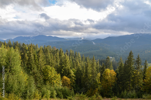 Beautiful mountain landscape with dense forest on the slopes. Carpathian Mountains, Ukraine