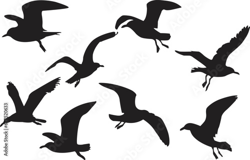 Set of seagull silhouettes. Set of seagull icons. Black seagull vector illustrations set.