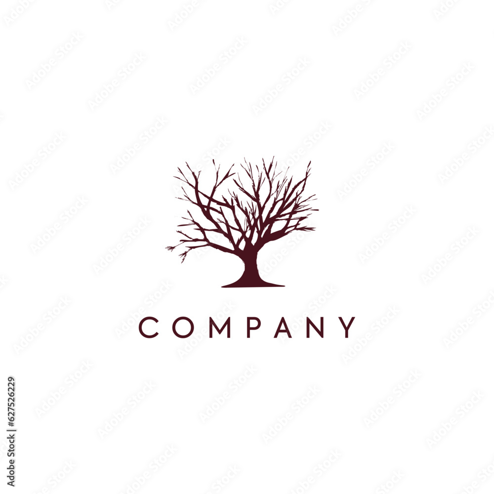 Obraz premium Tree logo design, photography logo, media logo, eps
