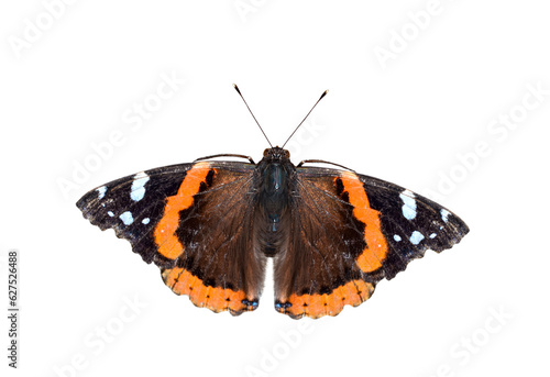 Fotografie Red  Admiral butterfly isolated cutout on transparent