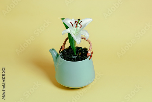 Pequeña flor lili creciendo en una tetera de color pistache con asa de palma de color café sobre un fondo amarillo    photo