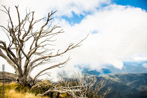 Mount Buffalo National Park  Victoria. Australia. Australian Alps views from the Horn picnic area. Mountains and clouds scenic view