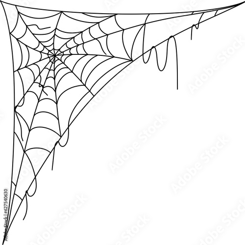 Halloween spider web and spider black doodle outline.