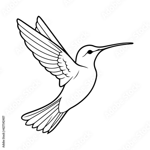 Hummingbird Illustration. Hummingbird Line Sketch