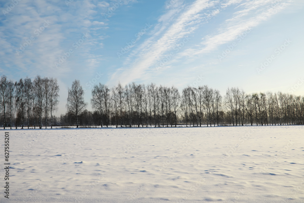 Winter snowy frosty landscape. The forest is covered with snow. Frost and fog in the park.