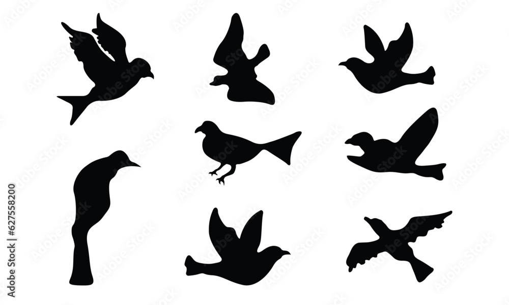 Obraz premium Birds Vector Graphic Design