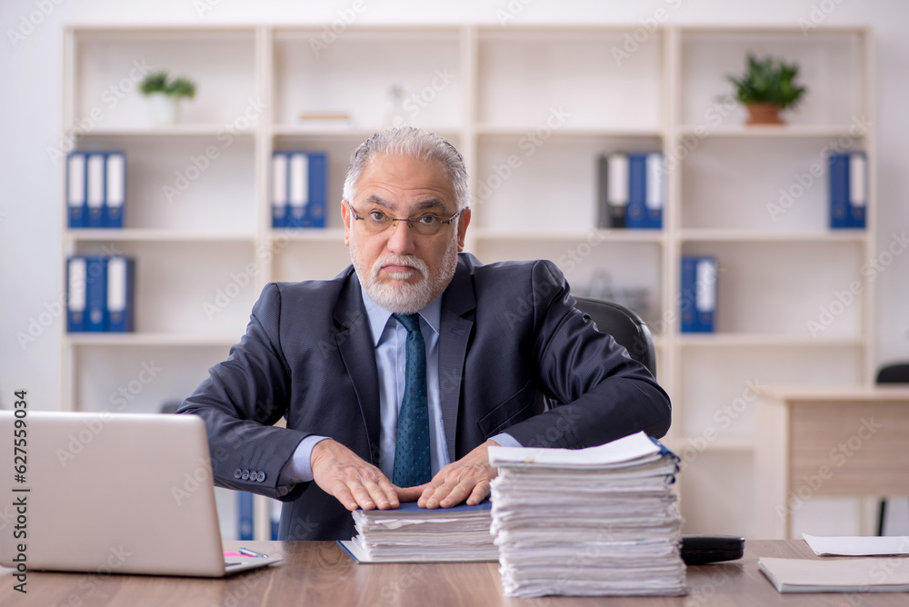 Old male employee working in the office Old male employee working in the office