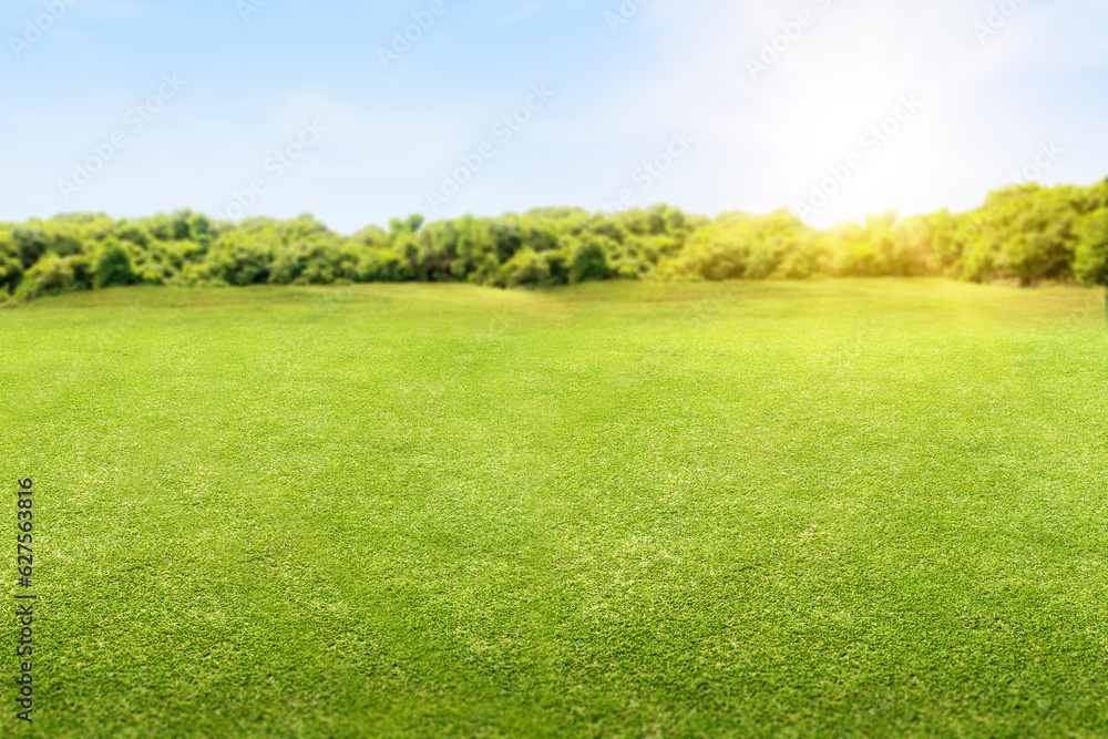 Obraz premium Meadow field