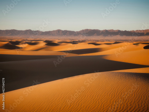 Golden sand dunes in the desert  beautiful landscape