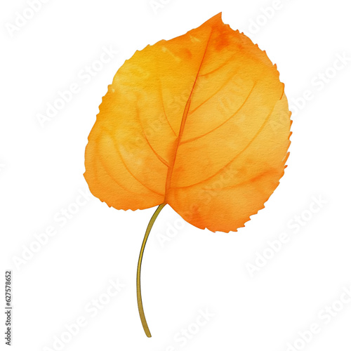 watercolor autumn leaf, ai generative