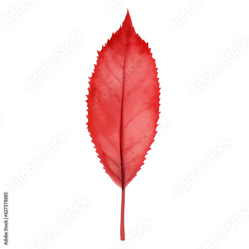 watercolor autumn leaf, ai generative