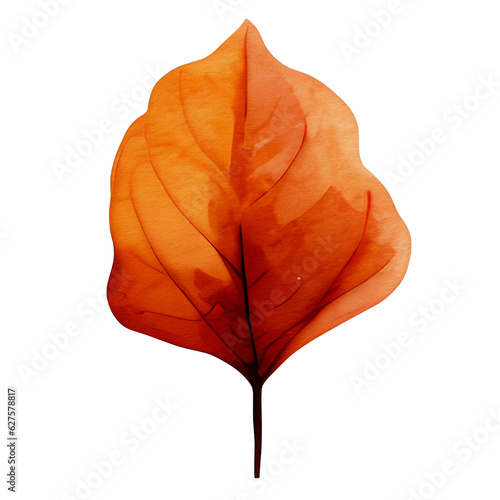 watercolor autumn leaf, ai generative