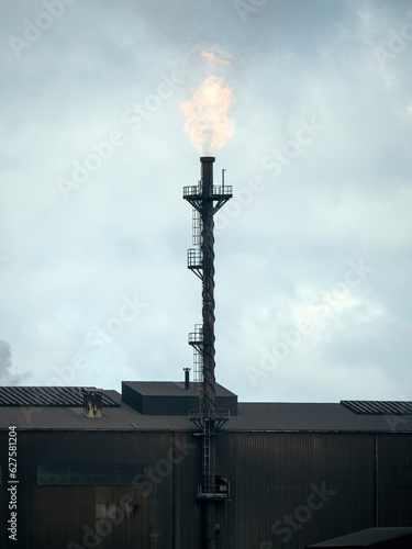 Flare stack burning exhaust gas with flame