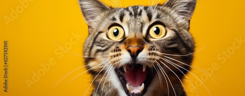 Bengal Kitten or Cat on Yellow Background, Energetic Expressions and Big Mouth Captured with Photo Realistic Techniques, generative ai