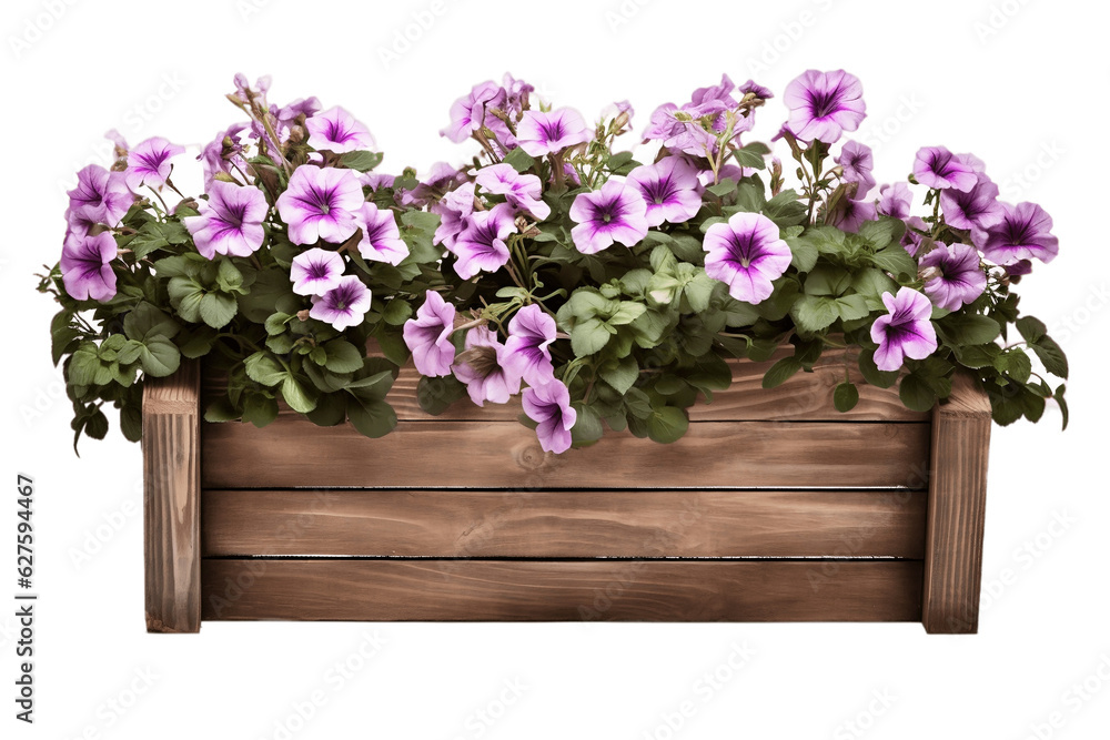 Isolated Wooden Window Box with Flowers on Transparent Background. Generative AI