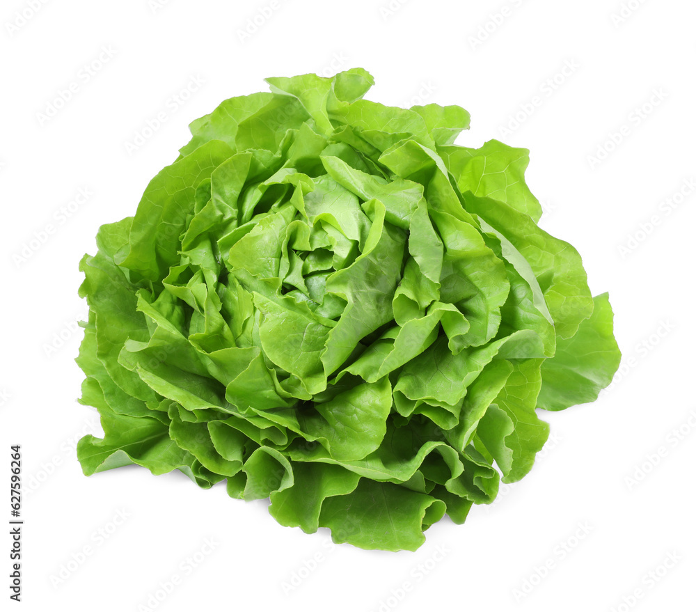 Fresh green butter lettuce head isolated on white Fresh green butter lettuce head isolated on white