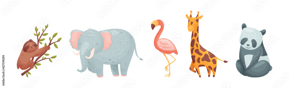 Cute African Animals and Zoo Creature Vector Set