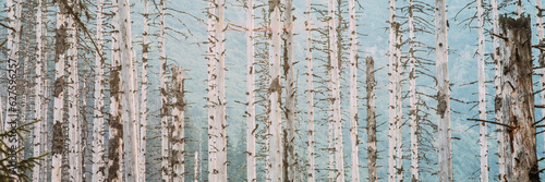 Old Dry Wood Trees Pines Background. © Grigory Bruev