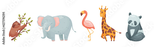 Cute African Animals and Zoo Creature Vector Set