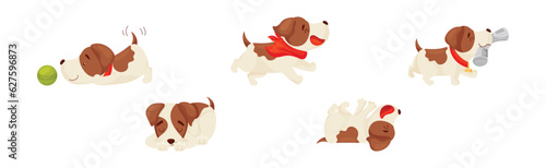Jack Russell Terrier with Collar in Different Action Vector Set