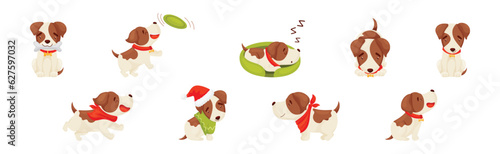 Jack Russell Terrier with Collar in Different Action Vector Set