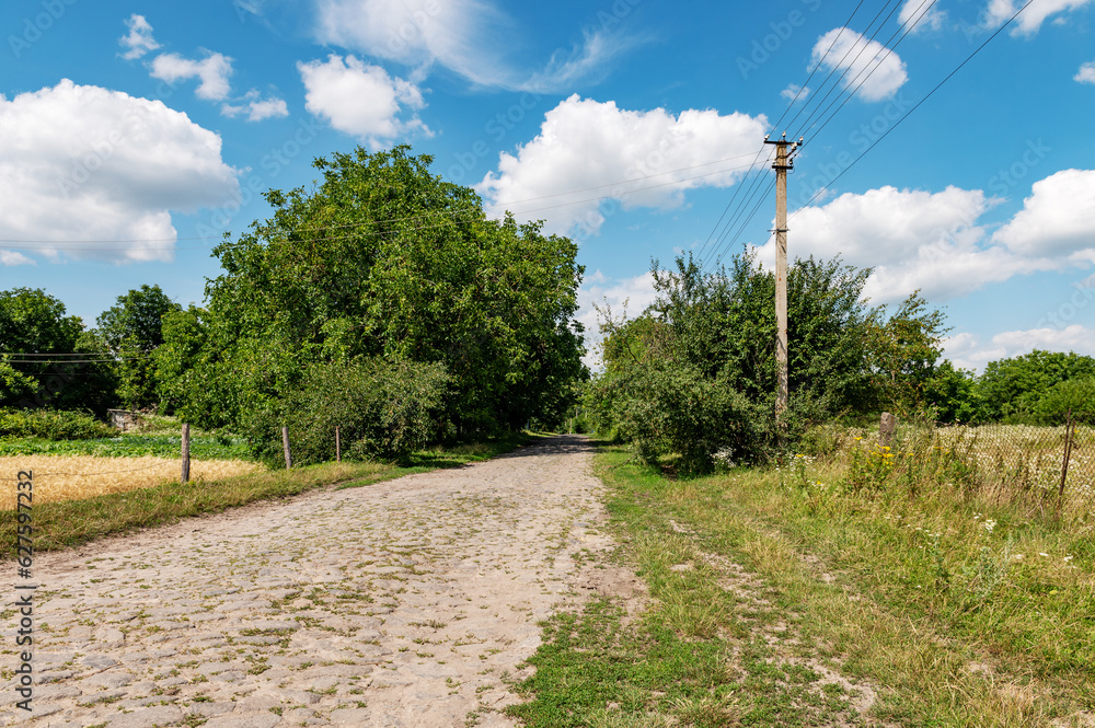 Dirt road in the village on a summer sunny day. Landscape with a rural road in the meadows