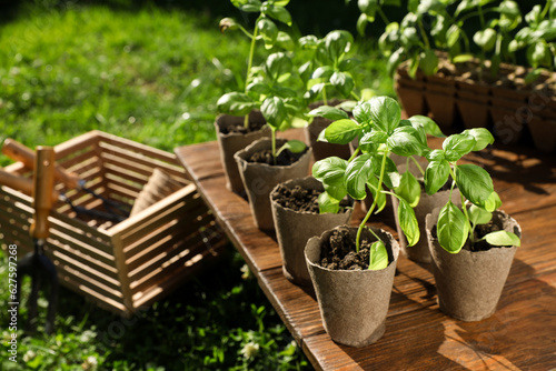 Beautiful seedlings in peat pots on wooden table and crate with gardening tools outdoors © New Africa