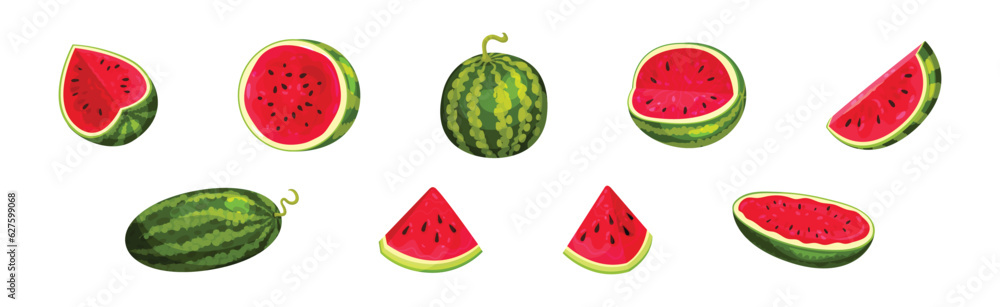 Fresh and Juicy Watermelon Fruit with Red Flesh and Black Seeds Vector Set Fresh and Juicy Watermelon Fruit with Red Flesh and Black Seeds Vector Set