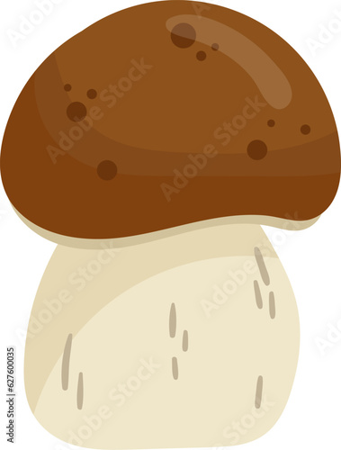 Boletus Edulis Mushroom Plant