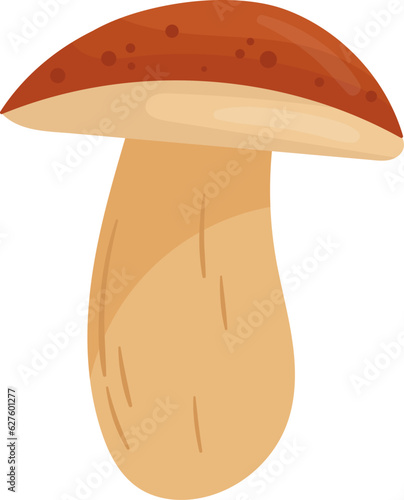 Boletus Edulis Mushroom Plant